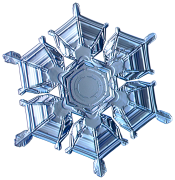 snowflake 15 lis